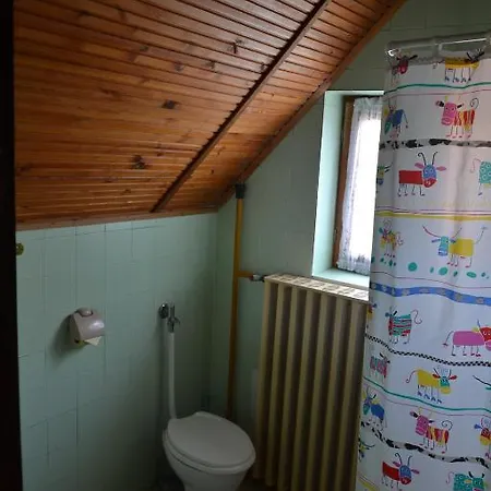 Daire Berki Margit *